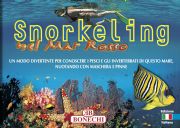 Snorkeling nel Mar Rosso